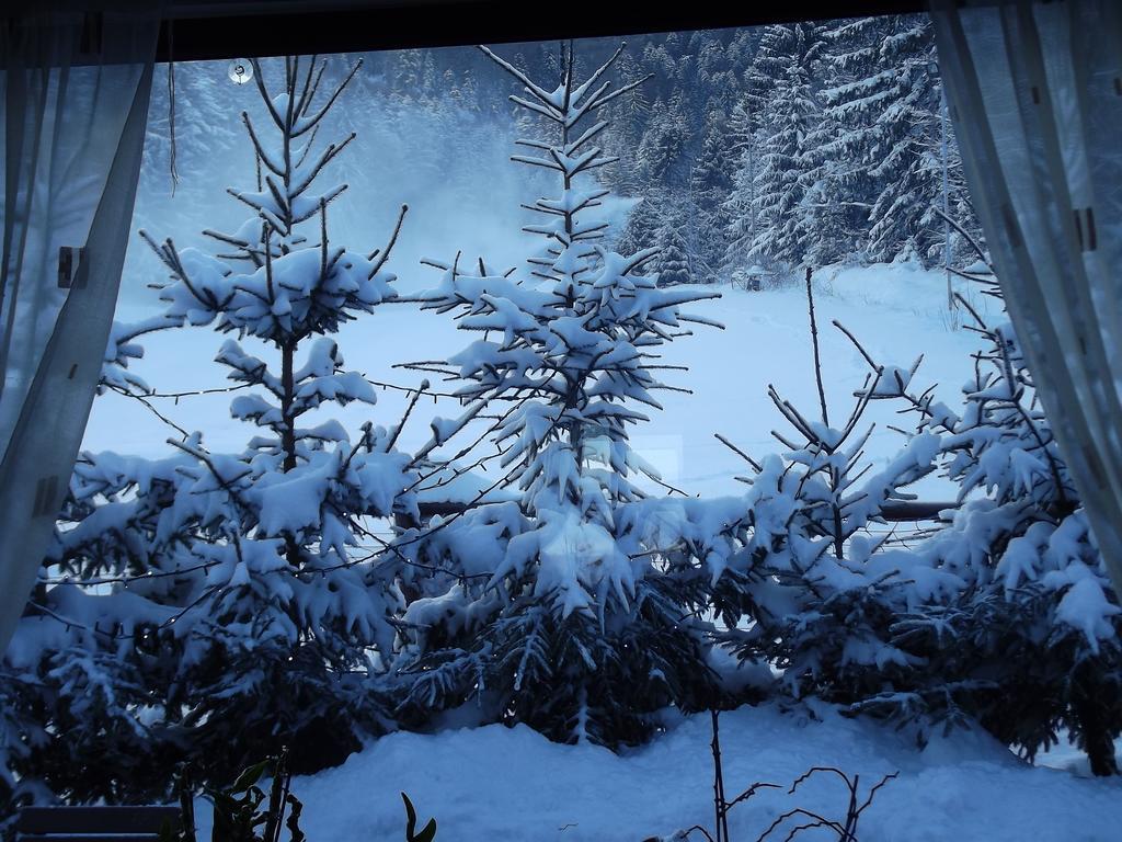 Pensiunea Casa Zmeilor Dragus Buitenkant foto