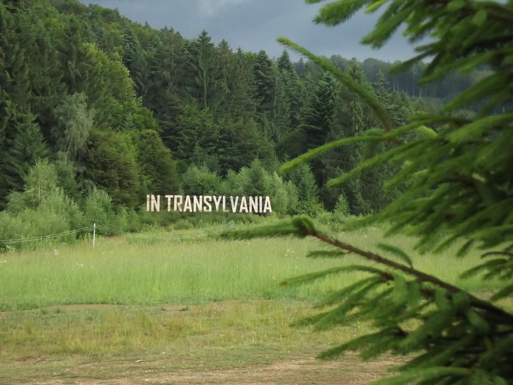 Pensiunea Casa Zmeilor Dragus Buitenkant foto