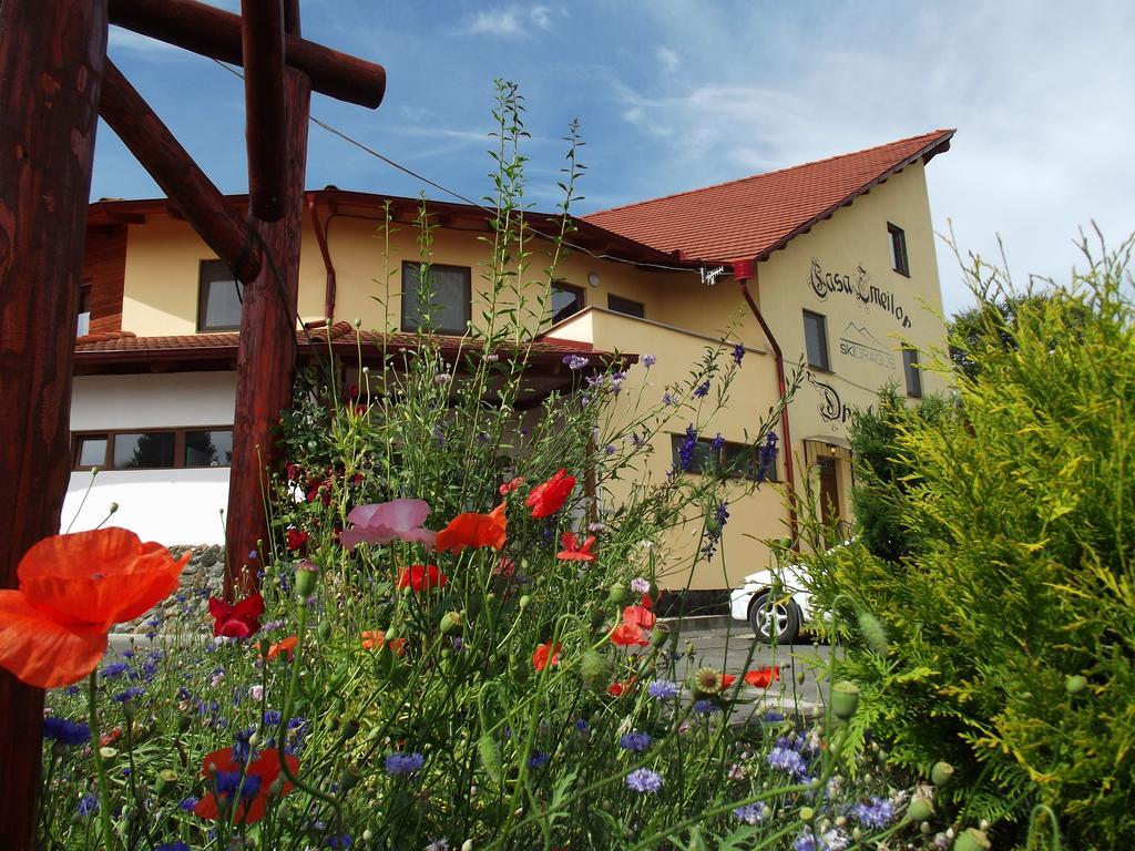 Pensiunea Casa Zmeilor Dragus Buitenkant foto